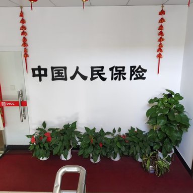 魚泡網(wǎng)