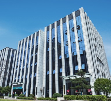 鱼泡网