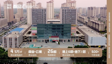 魚泡網