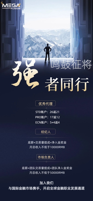鱼泡网