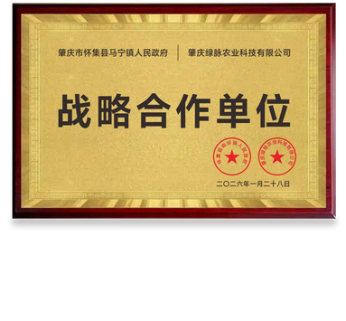 鱼泡网