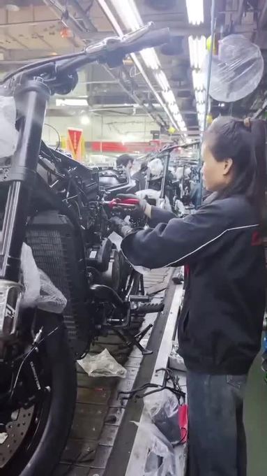 鱼泡网
