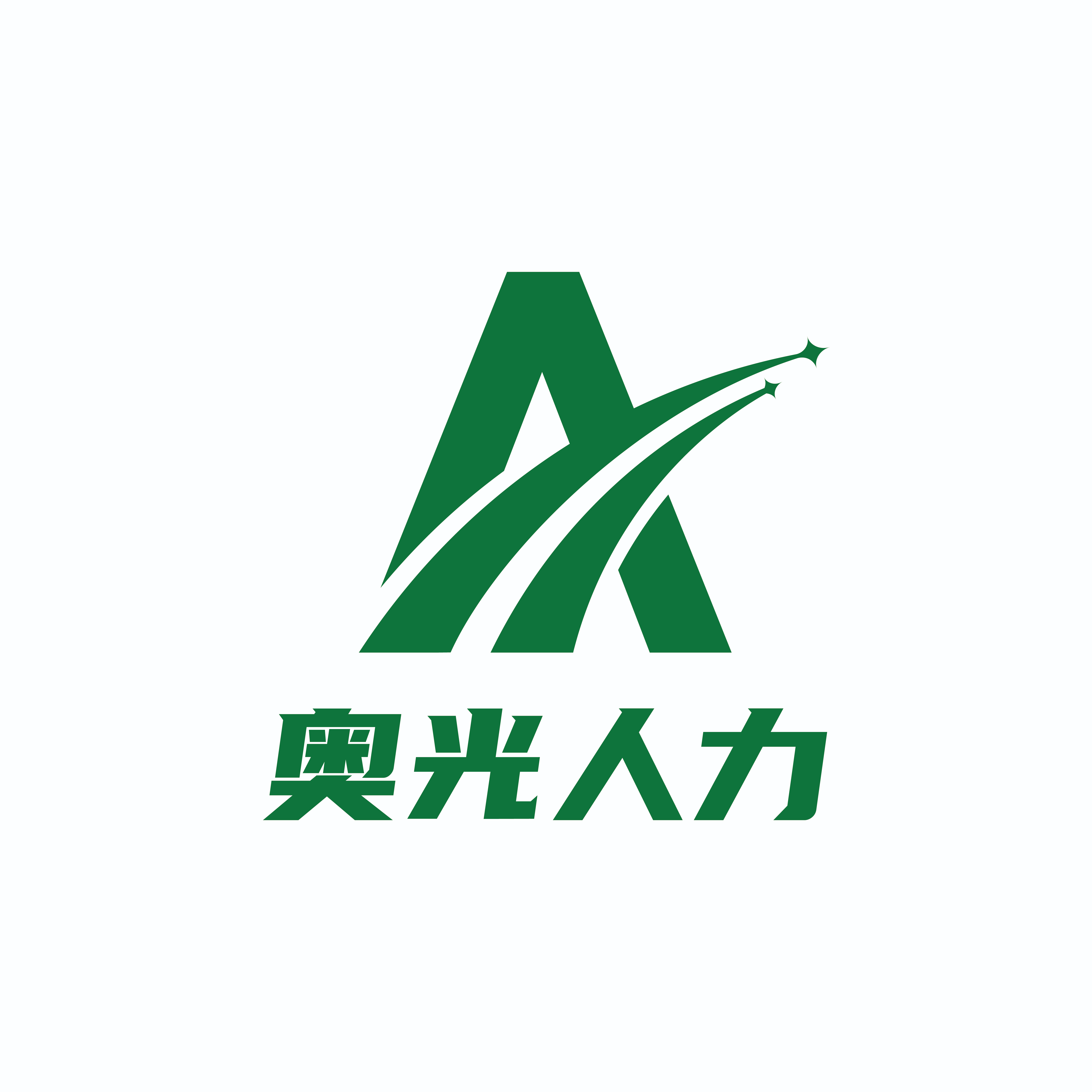 奥光人力资源（上海）有限公司