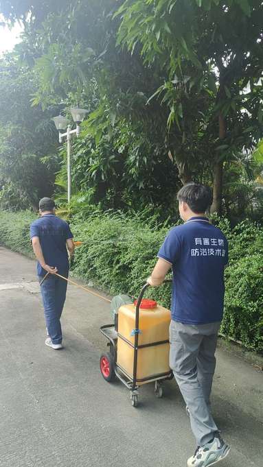 魚泡網