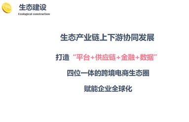 魚泡網(wǎng)