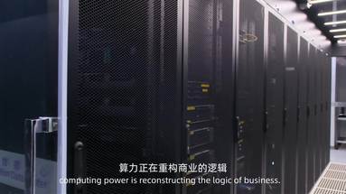 鱼泡网