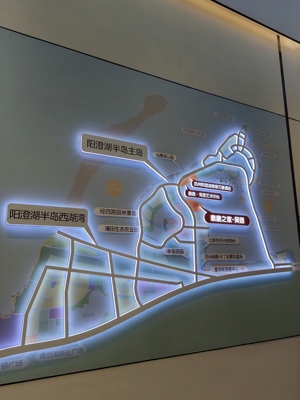 鱼泡网
