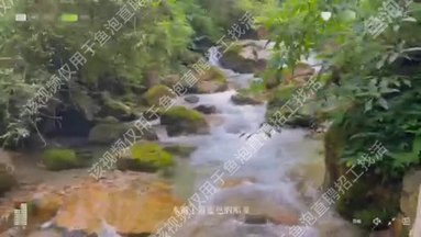一起玩水叭