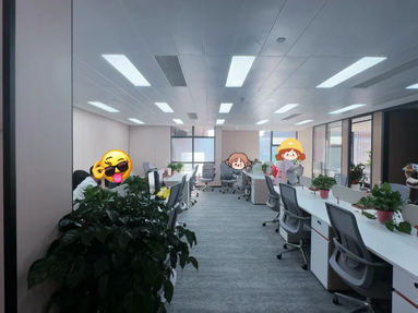鱼泡网