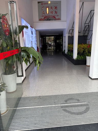 鱼泡网