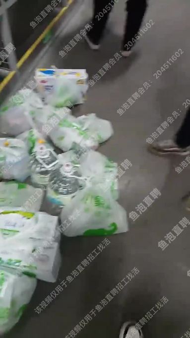 鱼泡网