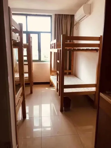 鱼泡网