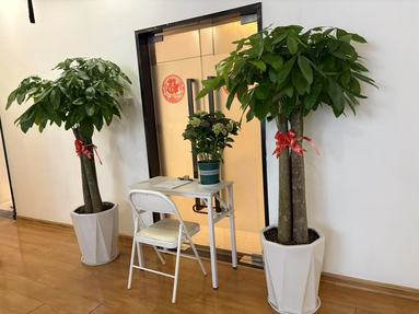 鱼泡网