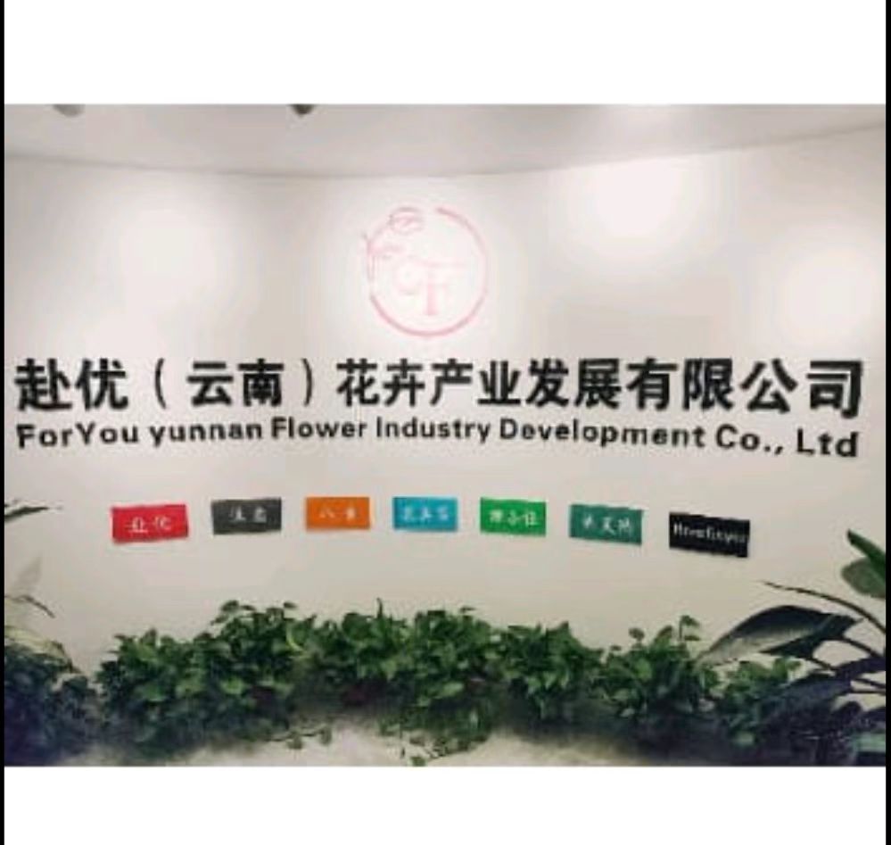 魚泡網