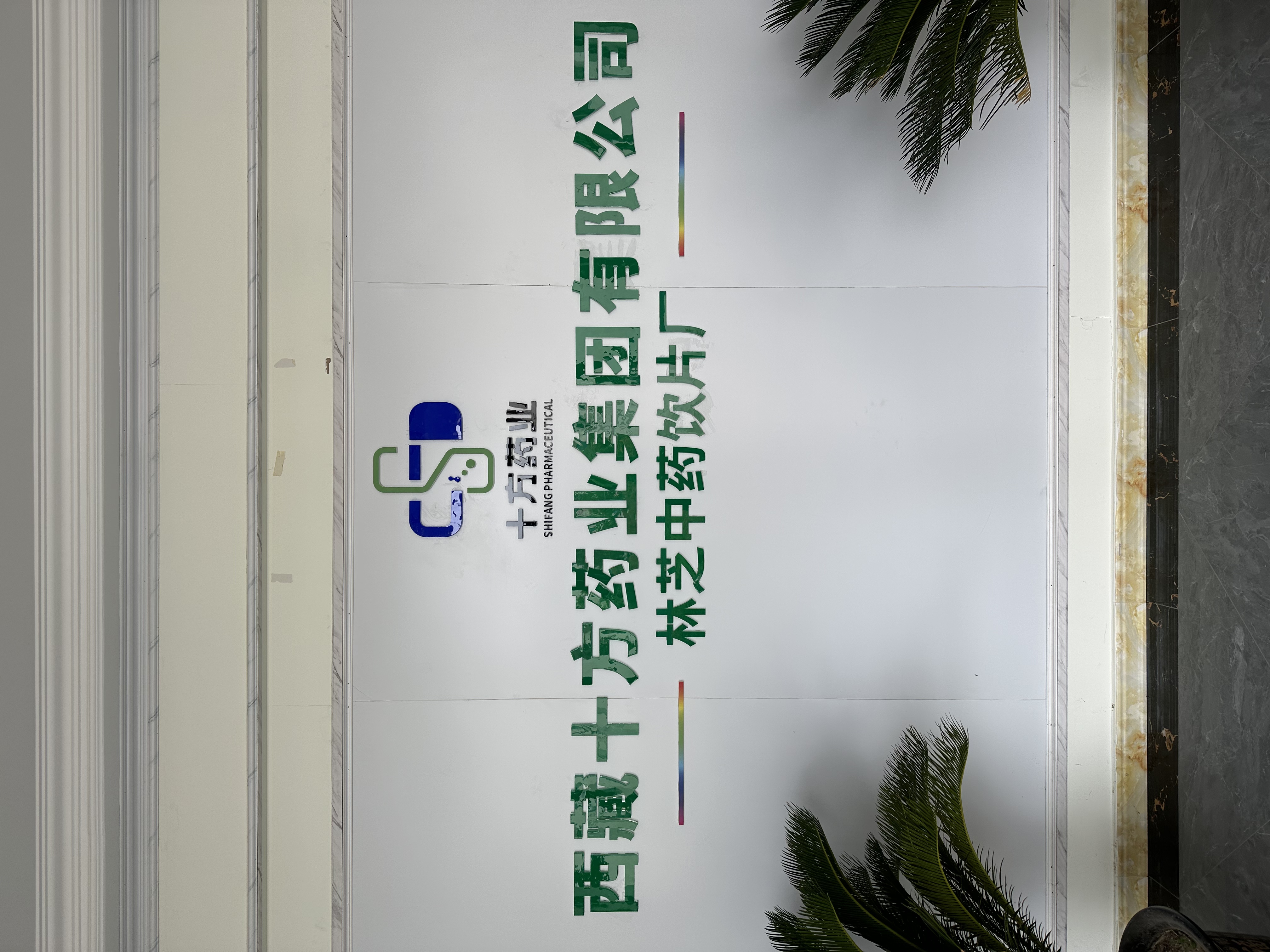 魚泡網(wǎng)