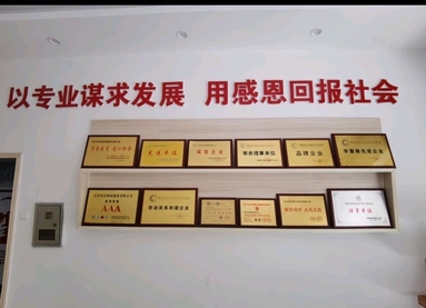 魚泡網(wǎng)