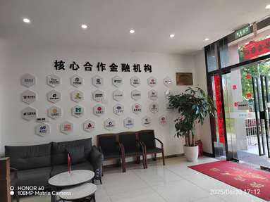 魚泡網