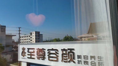 魚(yú)泡網(wǎng)