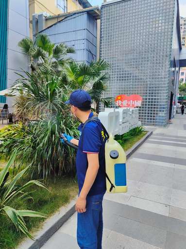 魚泡網