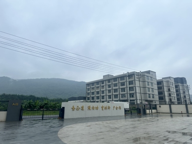 鱼泡网