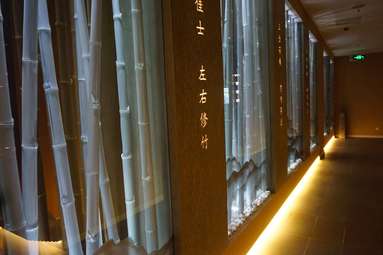 魚泡網(wǎng)