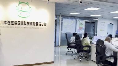 鱼泡网