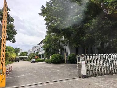 鱼泡网