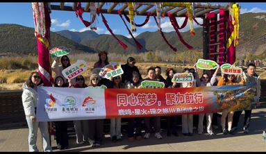 鱼泡网