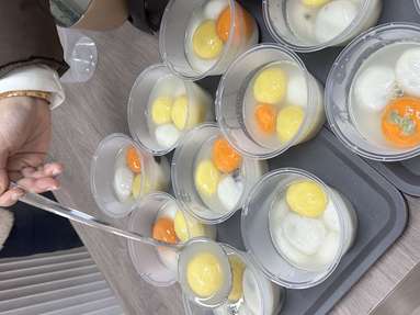 魚泡網(wǎng)