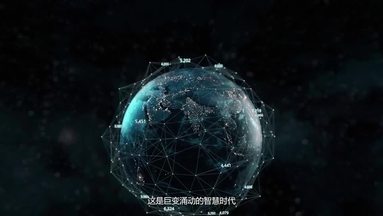 鱼泡网