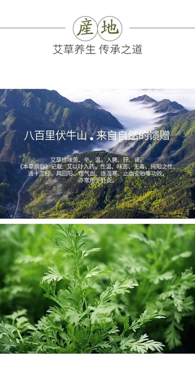魚泡網