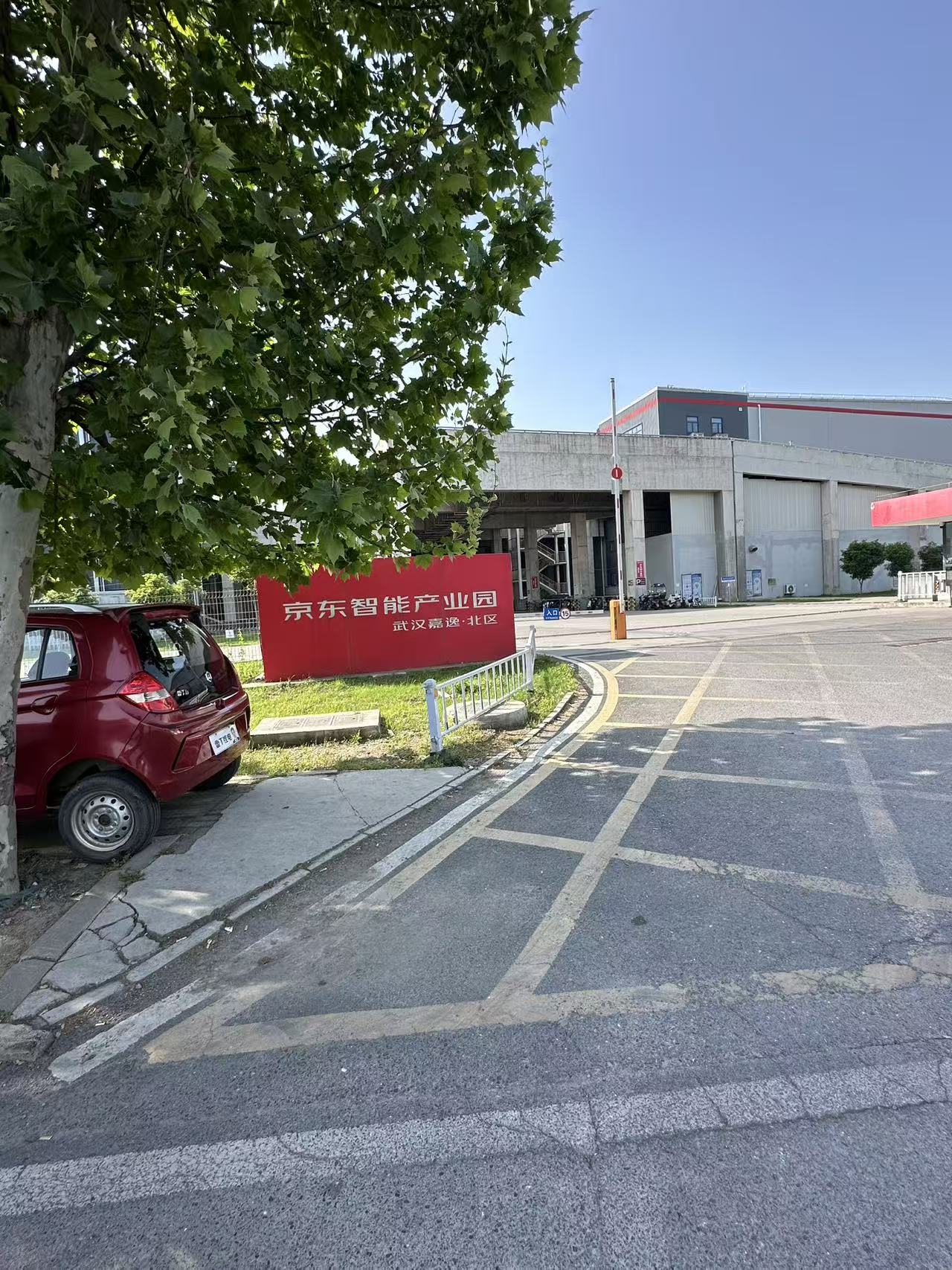 鱼泡网