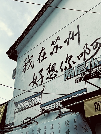 鱼泡网