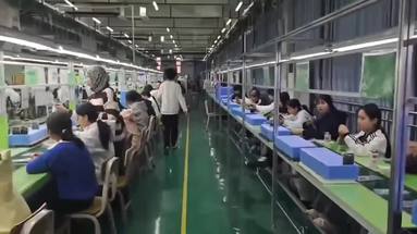鱼泡网