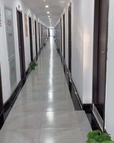 鱼泡网