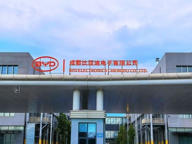 鱼泡网