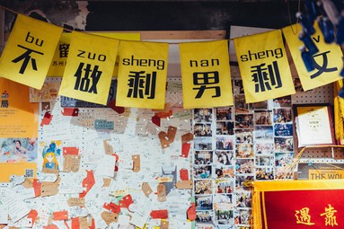 鱼泡网