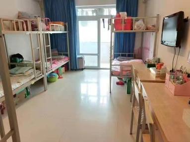 鱼泡网
