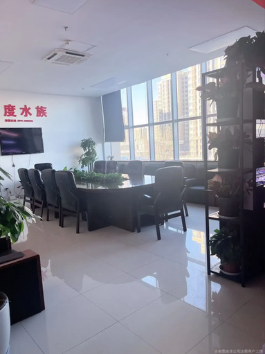 鱼泡网
