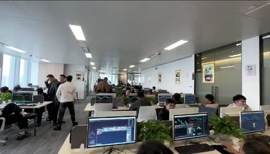 鱼泡网