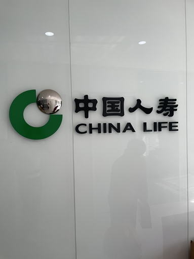 魚泡網