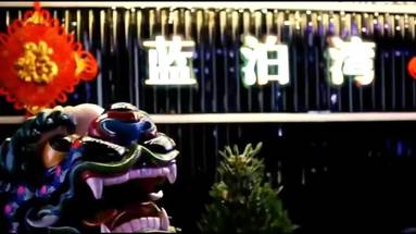 魚泡網