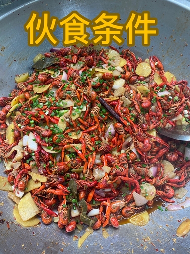 魚泡網