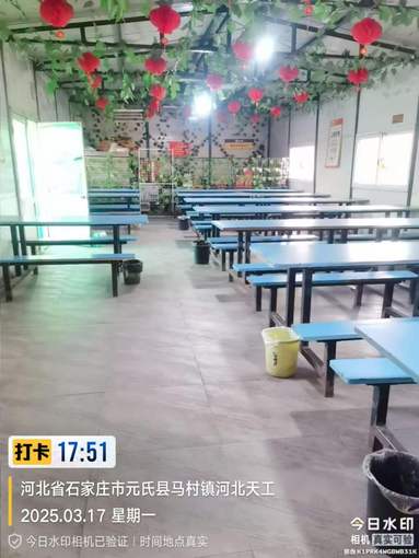 鱼泡网