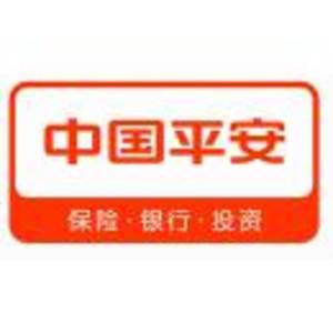北京青木平安投資管理有限公司