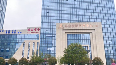 魚泡網