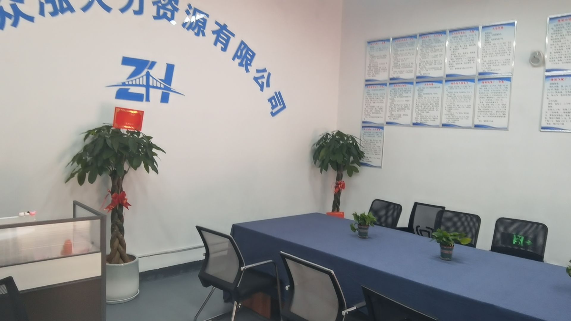 鱼泡网