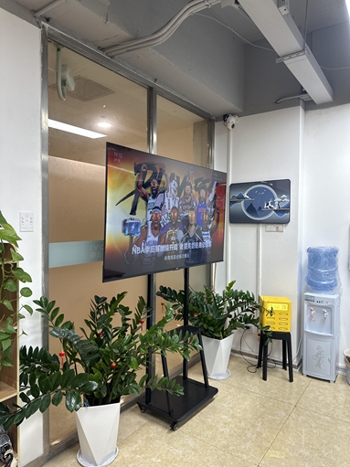 鱼泡网
