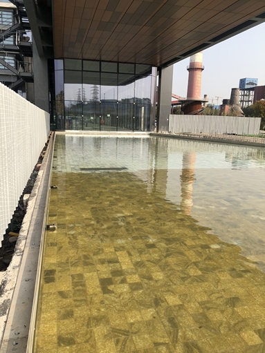 魚泡網(wǎng)