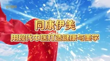 公司介绍二